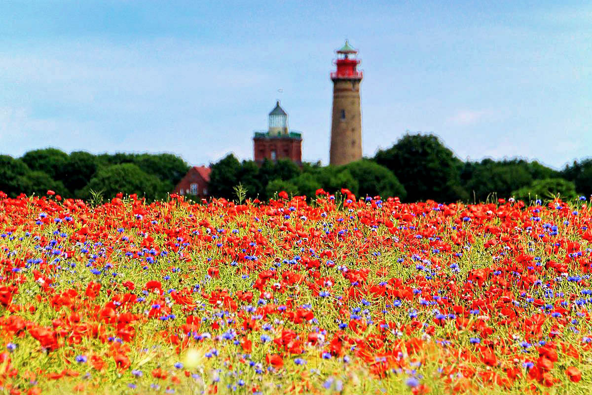 Aussicht auf das Leuchtturm auf Kap Arkona als schöner Hintergrund für die Hochzeitsfotos-Fotograf für Hochzeitsfotografie auf der Insel Rügen Mazelle Photography Fotostudio®